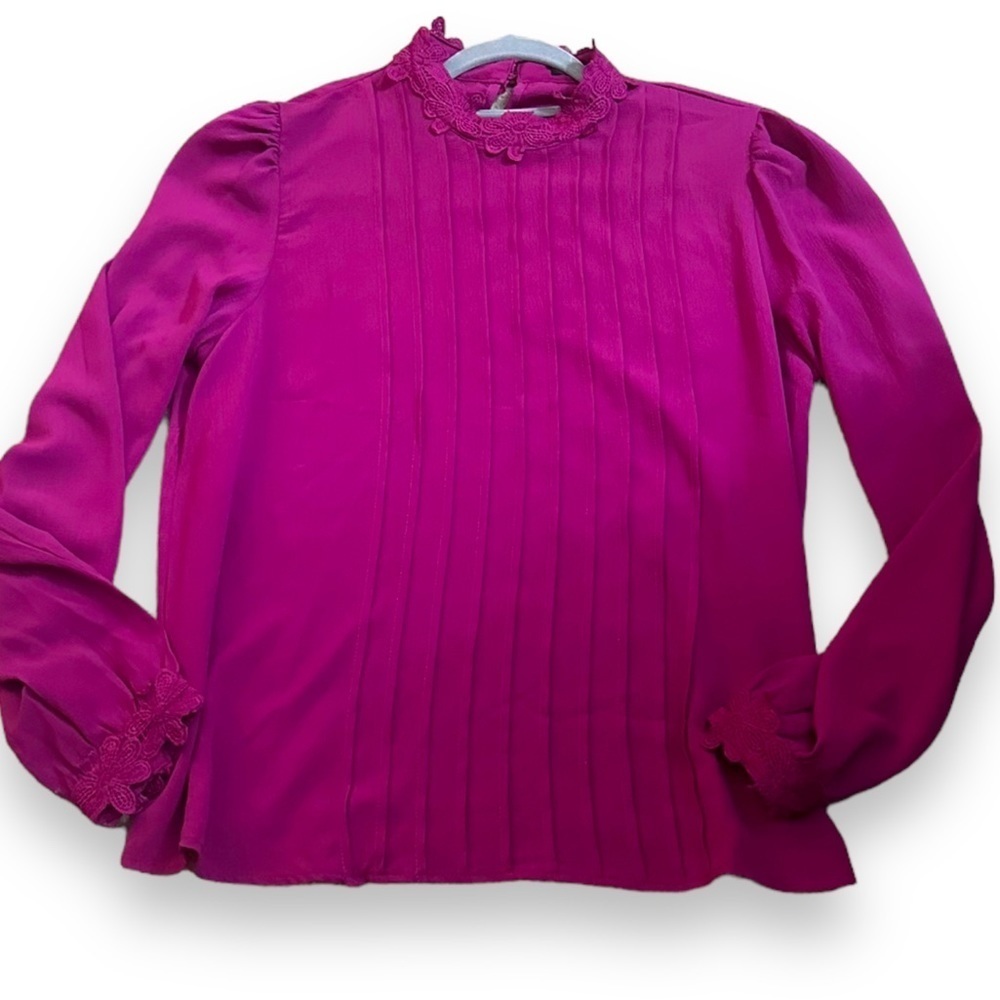 Shein Solid Pleated Ruffle Trim Long Sleeve Blouse